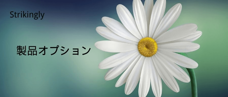 製品オプション 製品オプション